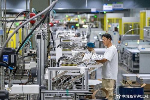 第四季度經(jīng)濟(jì)金融展望 恢復(fù)向好趨勢不變