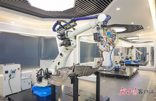 向新向質向未來 蘭州市推進科技創新培育新質生產力紀實